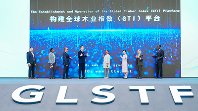 成果发布会：关于构建全球木业指数（GTI）平台